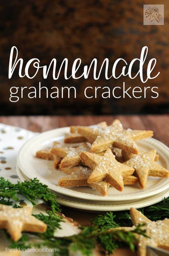 fried dandelions // homemade graham crackers