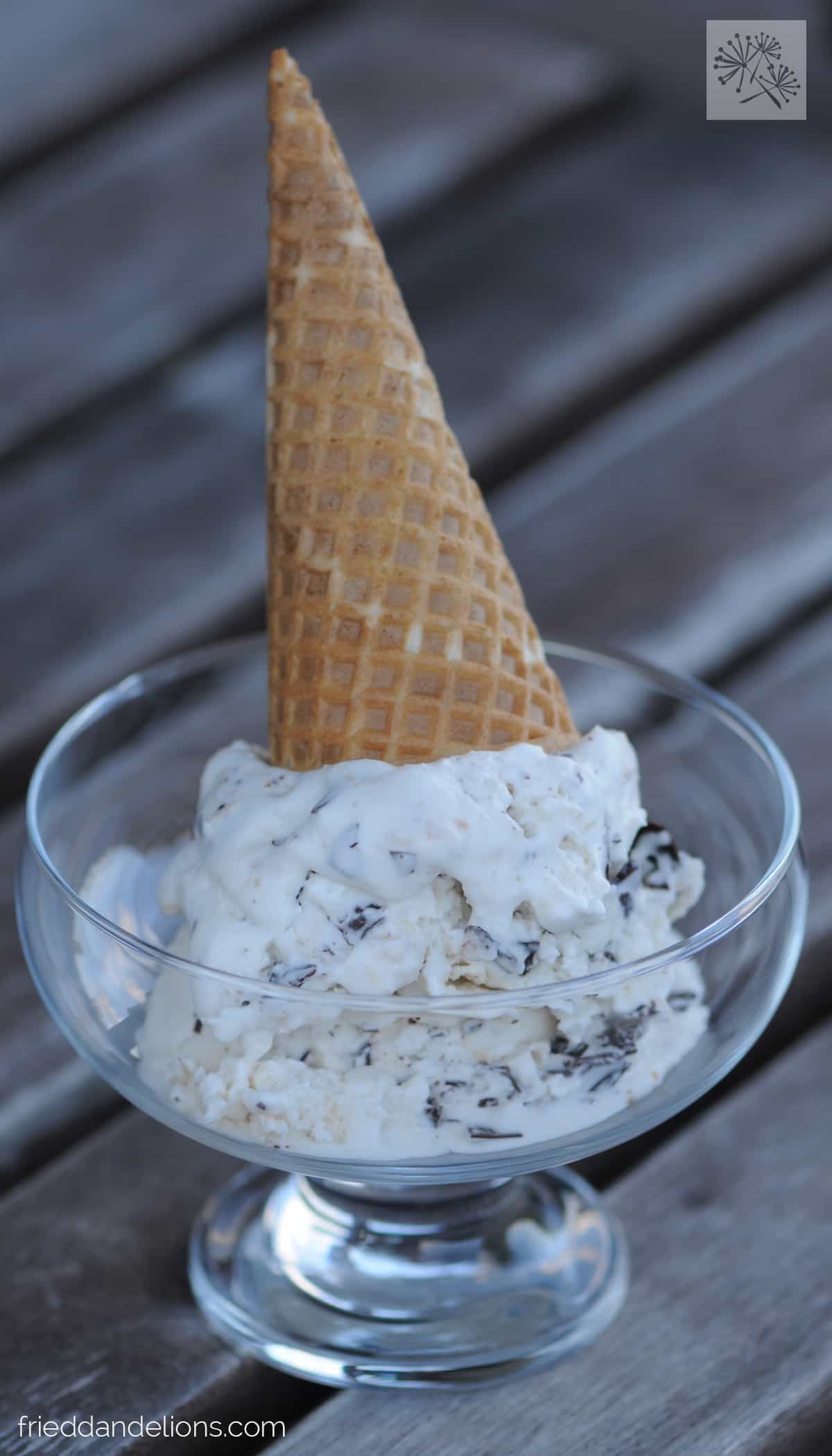 Almond Joy Ice Cream — Fried Dandelions — Plant Based Recipes