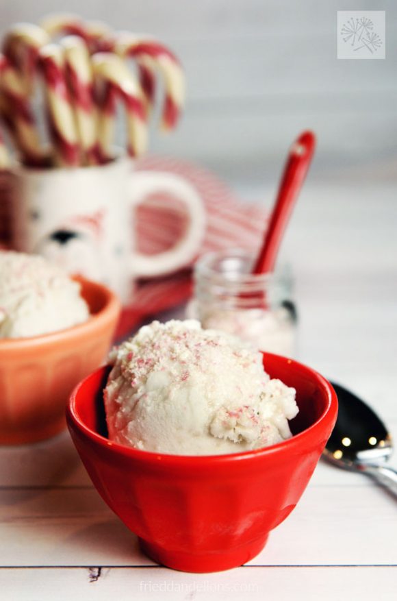 candy cane ice cream made in ice cream maker, kitchen gadgets
