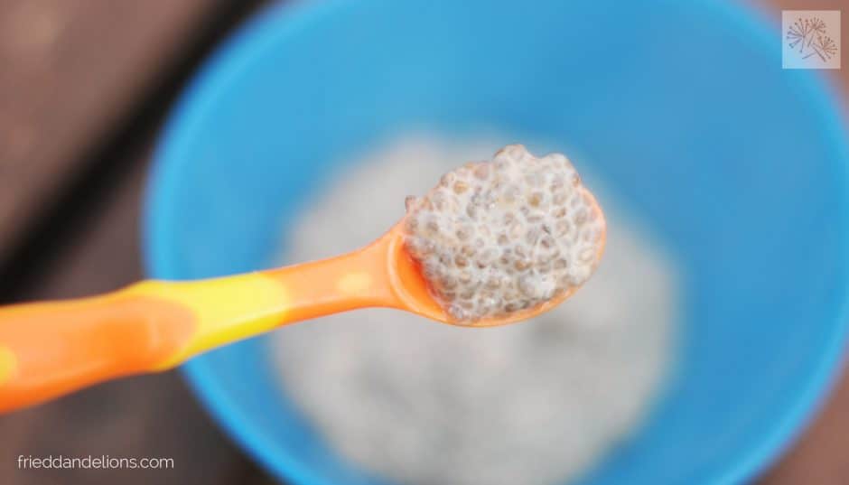 Baby Chia Pudding — Fried Dandelions — Plant Based Recipes