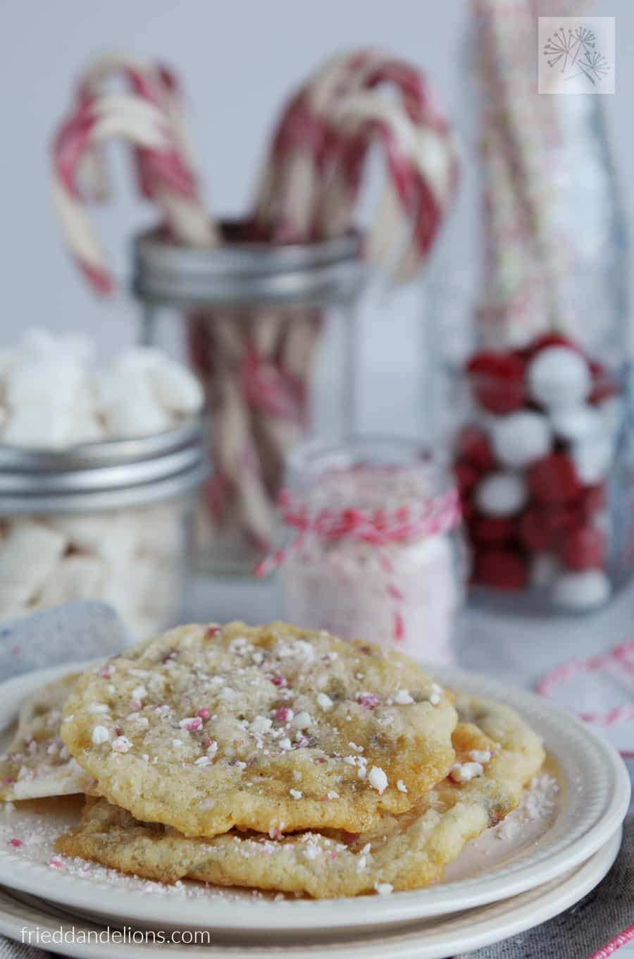 Peppermint Marshmallow Sugar Cookies — Fried Dandelions — Plant Based Recipes