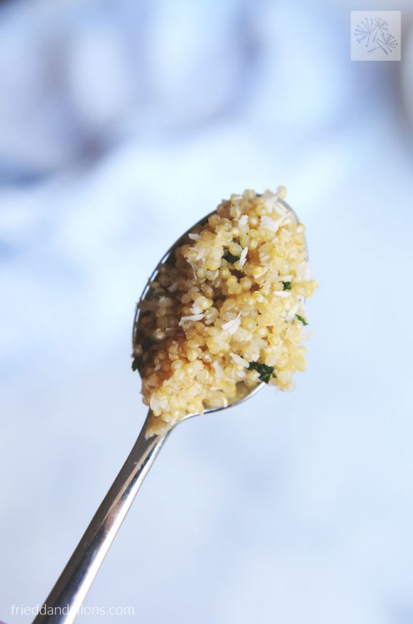 spoonful of Instant Pot Quinoa with light blue and grey background