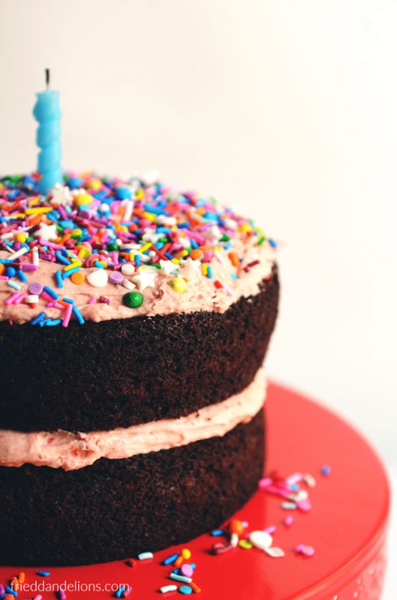 close up of a vegan chocolate birthday cake with a blue candle and sprinkles on top on a red cake stand