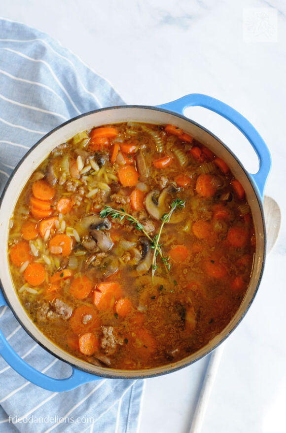 Vegan Beef and Orzo Soup — Fried Dandelions — Plant Based Recipes