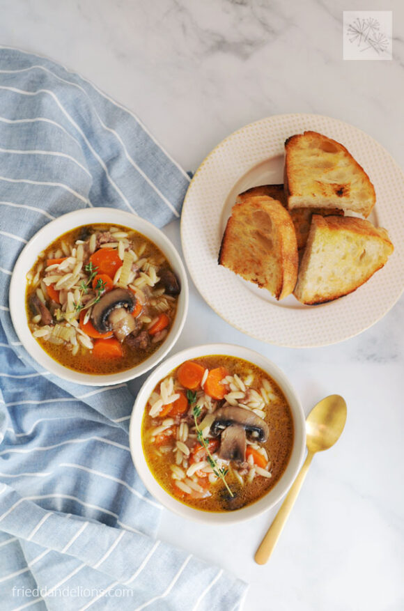 Vegan Beef and Orzo Soup — Fried Dandelions — Plant Based Recipes